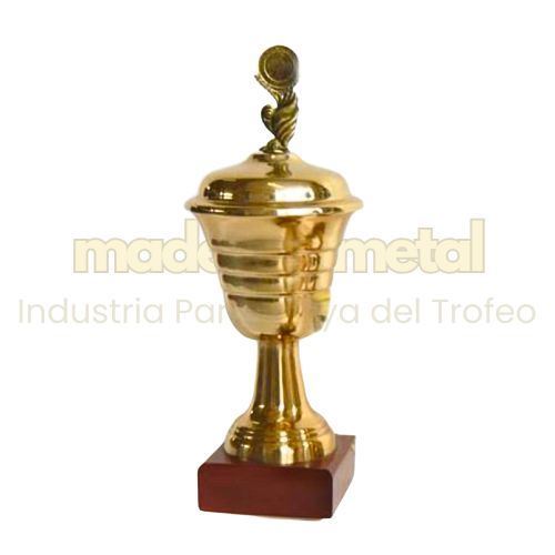 Imagen de Copa de metal con tapa - M5.1260